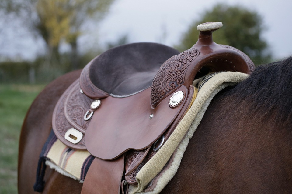 now-trackers-go-into-saddles-gadget