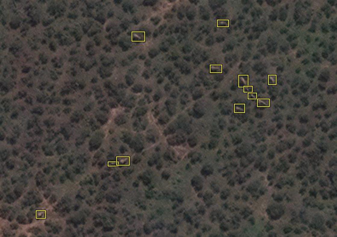 Satelite elephant counting from space